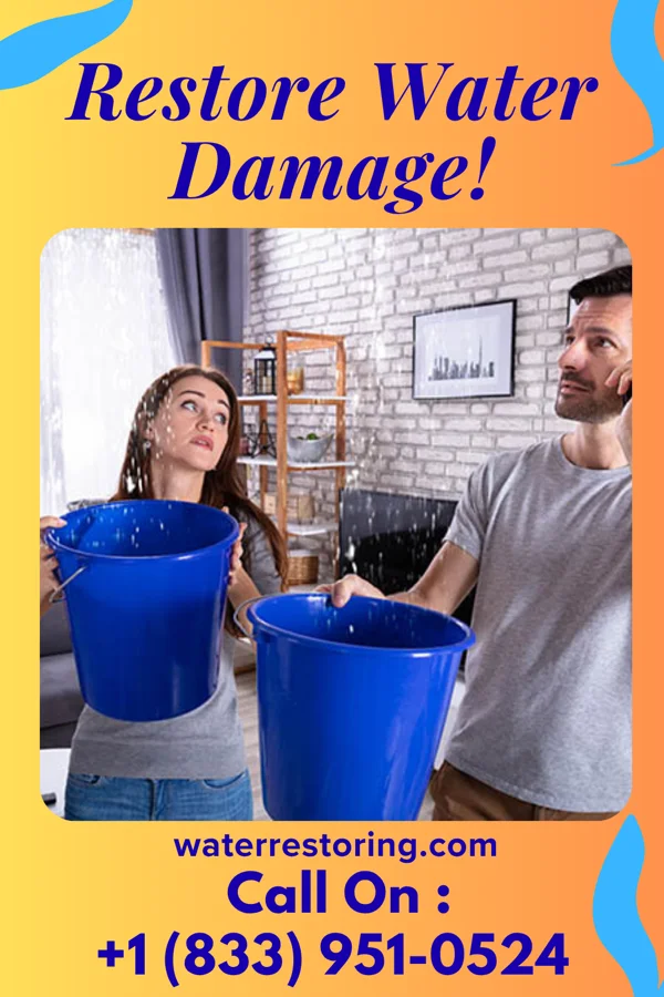water restoration Damage Recovery Group Elmwood