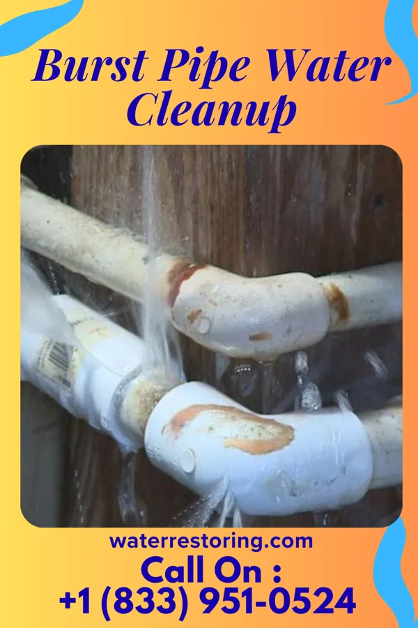 Burst Pipe Water Cleanup in Elmwood, WI
