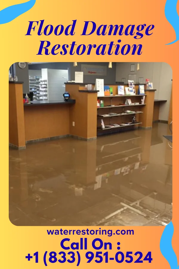 Flood Damage Restoration in Elmwood, WI