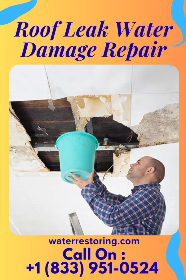 Roof Leak Water Damage Repair in Elmwood, WI