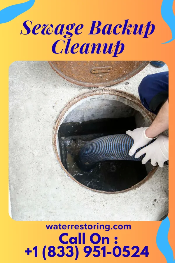 Sewage Backup Cleanup in Elmwood, WI