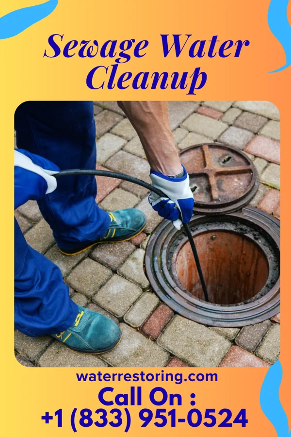 Sewage Water Cleanup in Elmwood, WI