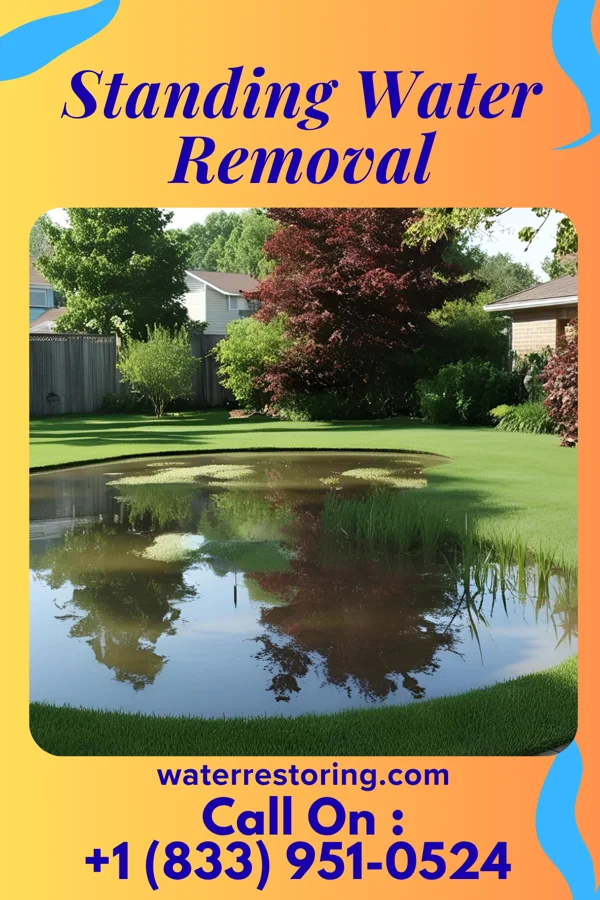 Standing Water Removal in Elmwood, WI